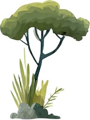 a tree with a green leaf on it.jpg